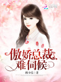 傲嬌總裁，難伺候