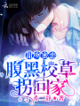 甜吻蜜戀：腹黑校草拐回家