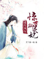 重生鳳女：驚世御靈妃