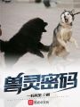 獸靈密碼
