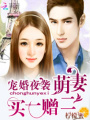 寵婚夜襲：萌妻買一贈二第二冊