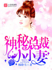 神秘總裁小小妻第一冊