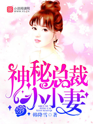 神秘總裁小小妻第一冊