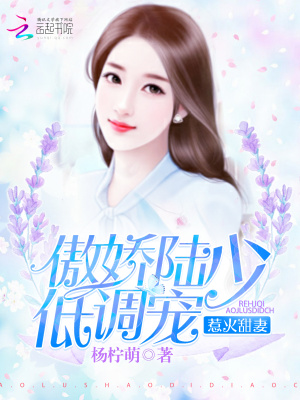 陸少別傲嬌