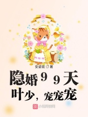 隱婚99天：葉少，寵寵寵！