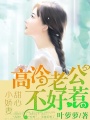 甜心小嬌妻：高冷老公不好惹