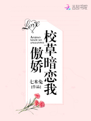傲嬌校草暗戀我