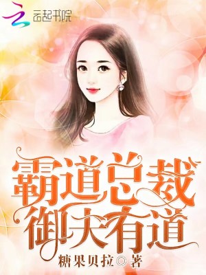 霸道總裁，御夫有道