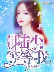 豪門蜜寵：陸少，等等我