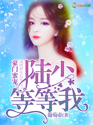 豪門蜜寵：陸少，等等我