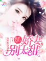 蜜愛N次方：嬌妻，別太甜！