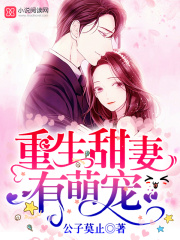重生甜妻有萌寵