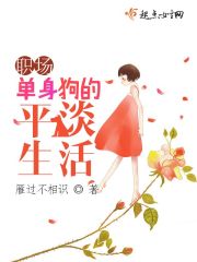 職場單身狗的平淡生活