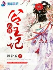 西夏公主記