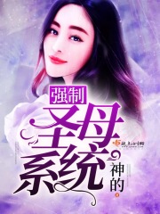 強制圣母系統