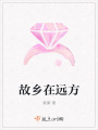 故鄉(xiāng)在遠(yuǎn)方
