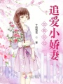 總裁回歸：追愛小嬌妻