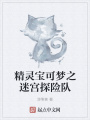 精靈寶可夢之迷宮探險(xiǎn)隊(duì)