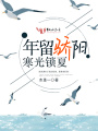 年留驕陽寒光鎖夏