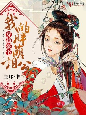 穿越豪宅，我的胖萌相公