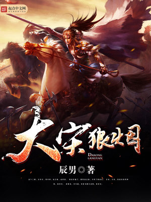 大宋狼煙