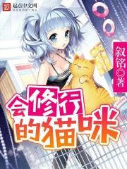 會修行的貓咪