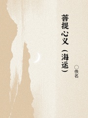 菩提心义（海运）在线阅读