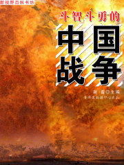 斗智斗勇的中国战争（新视野百科书坊）在线阅读