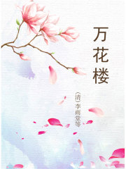 万花楼（中文典藏）
