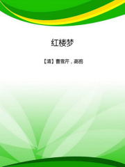 红楼梦（中文在线典藏版）在线阅读