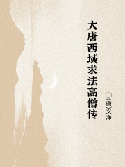 大唐西域求法高僧传在线阅读