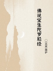 佛说宝生陀罗尼经在线阅读