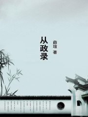 从政录在线阅读