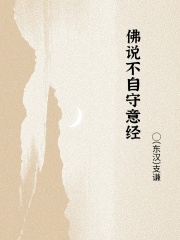 佛说不自守意经在线阅读