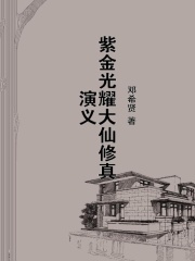 紫金光耀大仙修真演义