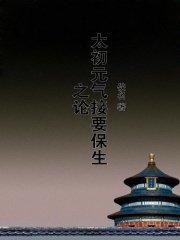 太初元气接要保生之论在线阅读