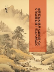 金刚顶普贤瑜伽大教王经大乐不空金刚萨埵一切时方成就仪在线阅读