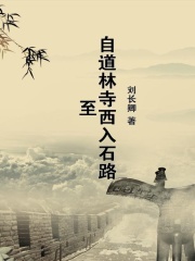 自道林寺西入石路至在线阅读