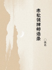赤松领禅师语录在线阅读