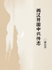两汉开国中兴传志在线阅读
