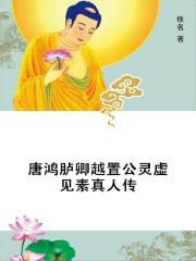 唐鸿胪卿越置公灵虚见素真人传在线阅读