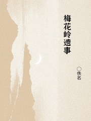 梅花岭遗事在线阅读