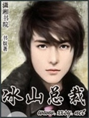 冰山总裁在线阅读