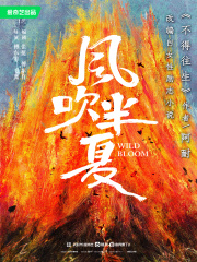 不得往生《风吹半夏》原著（赵丽颖、欧豪主演电视剧）