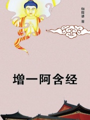 增一阿含经