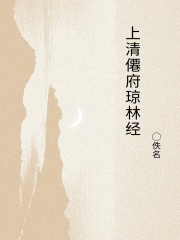 上清僊府琼林经在线阅读
