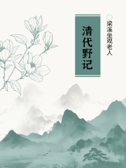 清代野记
