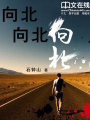 向北，向北在线阅读