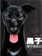 黑子：黑市寻狗记