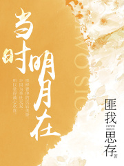 当时明月